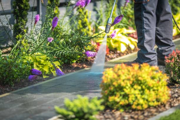 Professional Pressure Washing in North Lindenhurst, NY